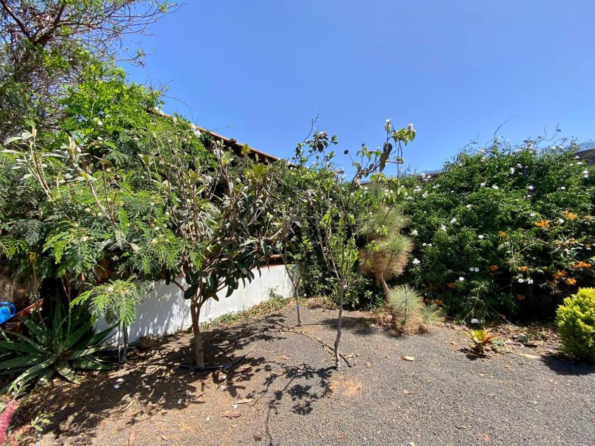 Cabanalanz, Cabanas En Lanzarote San Bartolomé エクステリア 写真
