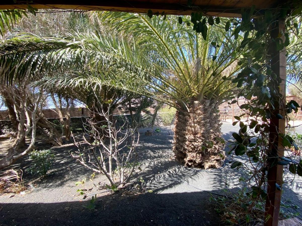 Cabanalanz, Cabanas En Lanzarote San Bartolomé エクステリア 写真