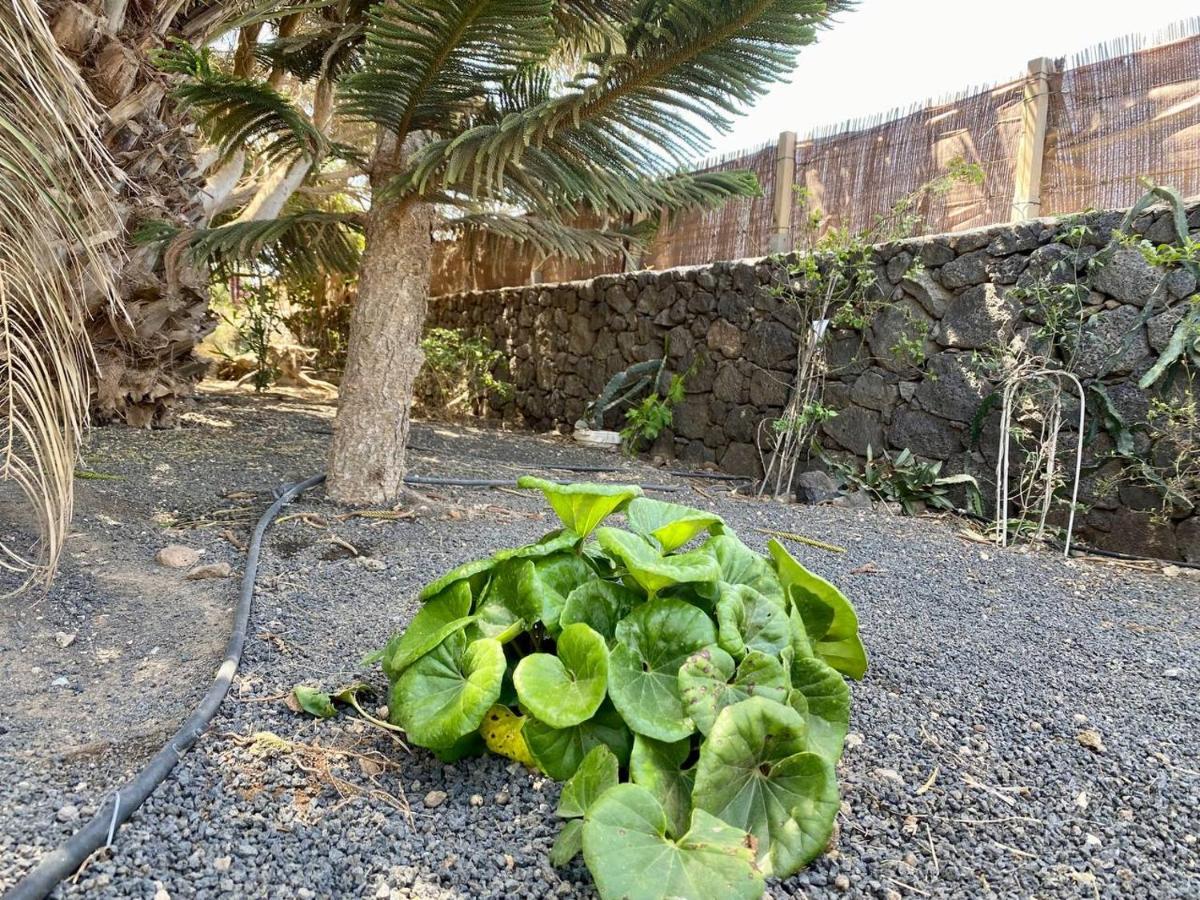 Cabanalanz, Cabanas En Lanzarote San Bartolomé エクステリア 写真