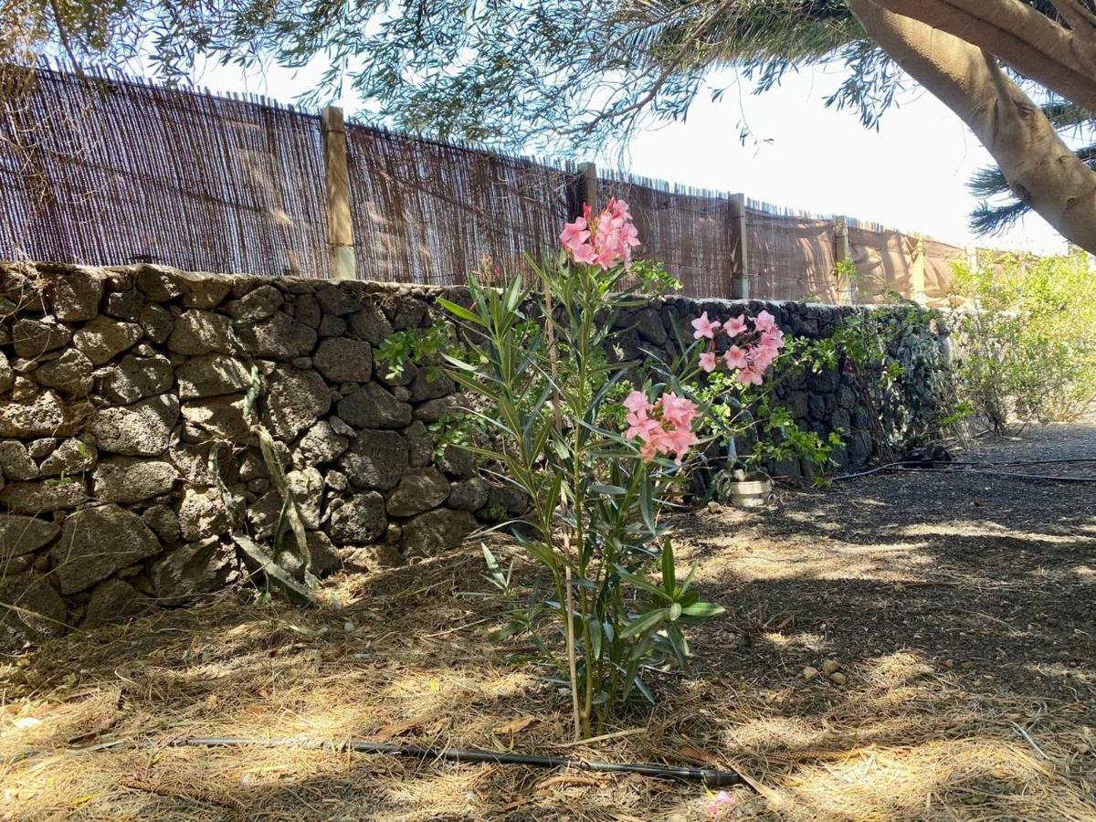Cabanalanz, Cabanas En Lanzarote San Bartolomé エクステリア 写真