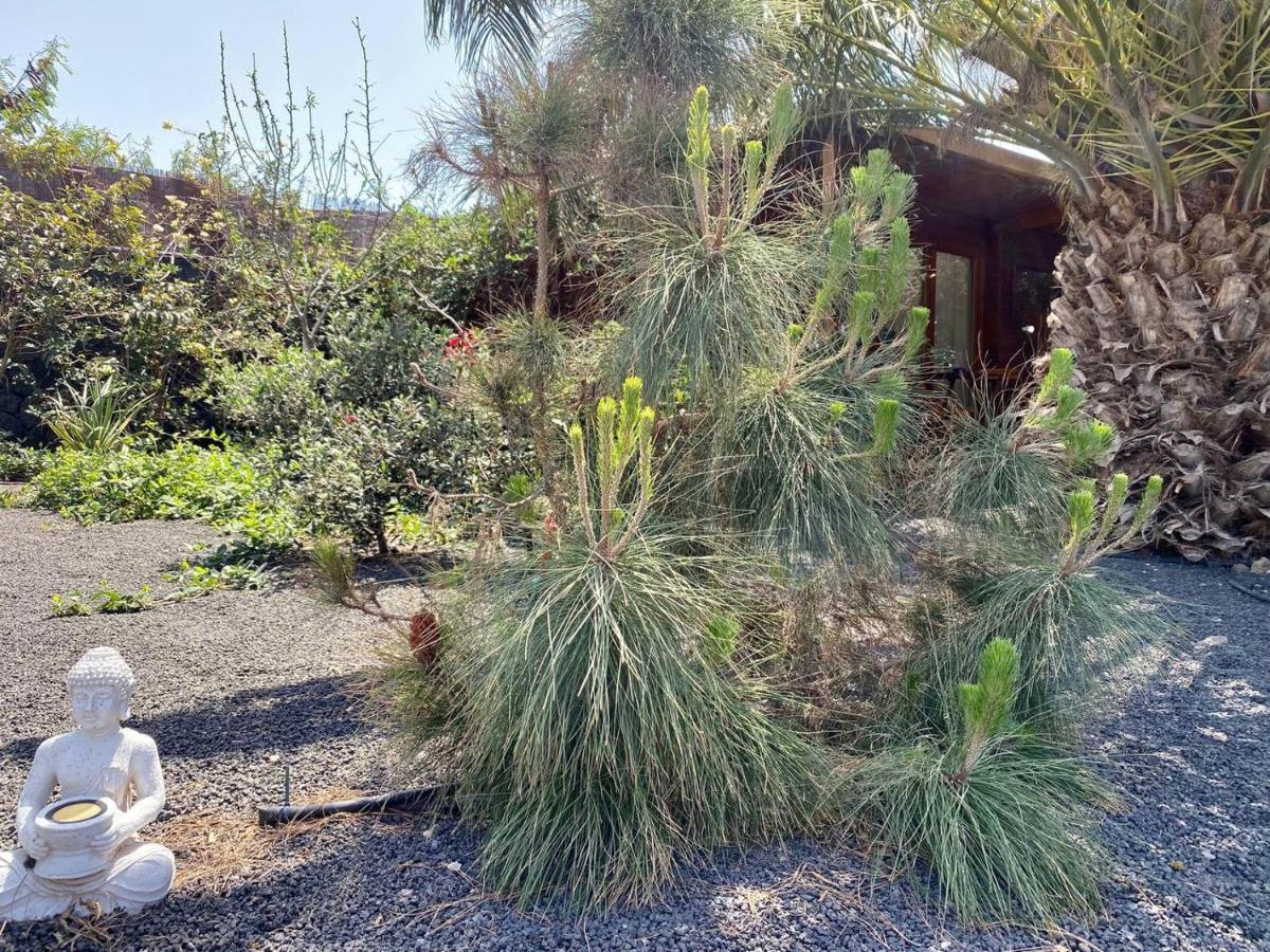 Cabanalanz, Cabanas En Lanzarote San Bartolomé エクステリア 写真