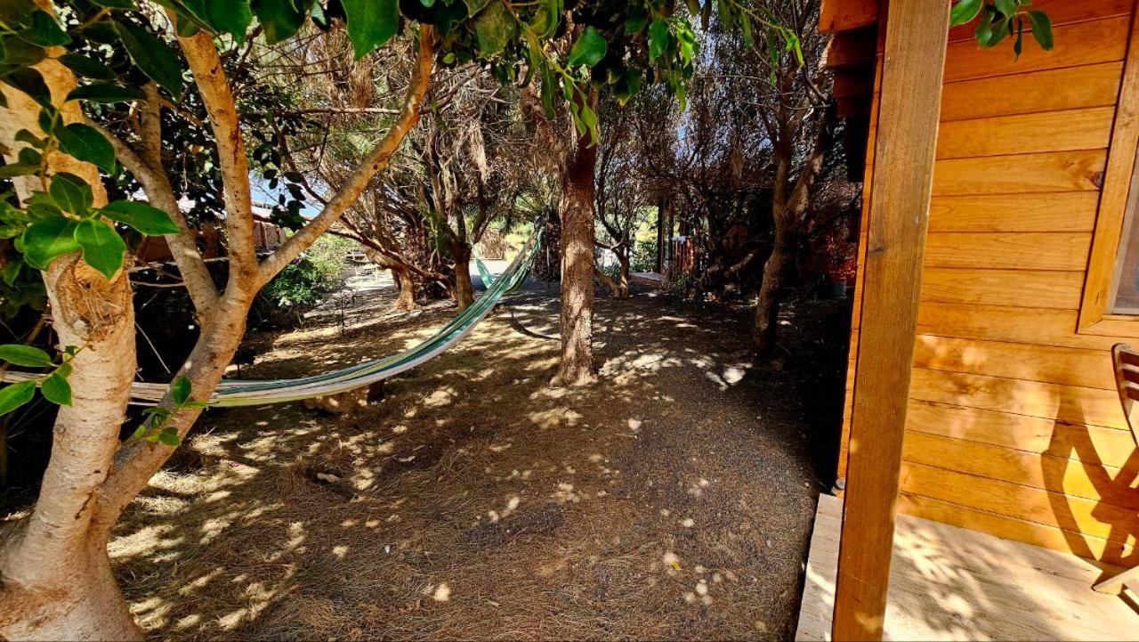 Cabanalanz, Cabanas En Lanzarote San Bartolomé エクステリア 写真