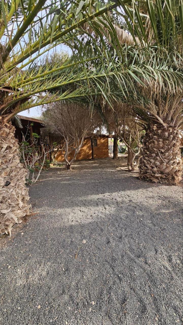 Cabanalanz, Cabanas En Lanzarote San Bartolomé エクステリア 写真