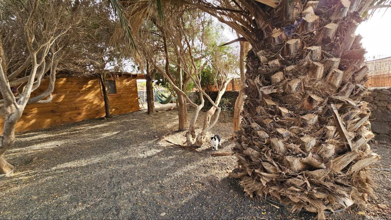 Cabanalanz, Cabanas En Lanzarote San Bartolomé エクステリア 写真