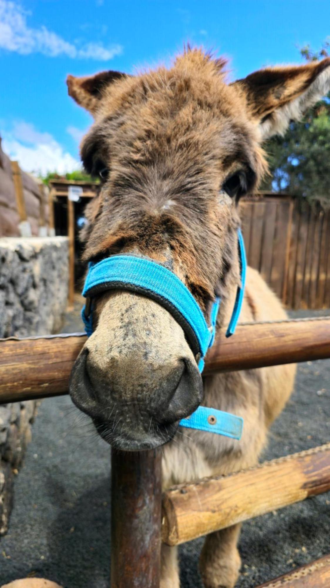 Cabanalanz, Cabanas En Lanzarote San Bartolomé エクステリア 写真